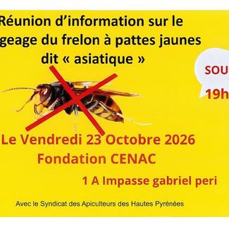 Réunion d'information sur le piégeage du frelon "asiatique"