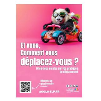 Enquête mobilité simplifiée