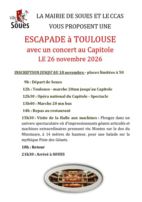 ESCAPADE A TOULOUSE - 26 novembre 2026