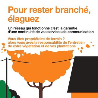 Entretien végétation