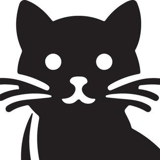 Chats errants : conduite à tenir