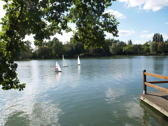 Regates sur le Lac