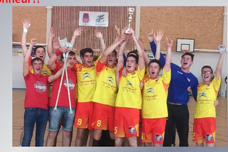 Hand SOUES saison 2015-2016