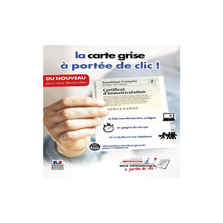 Carte Grise cadre blanc