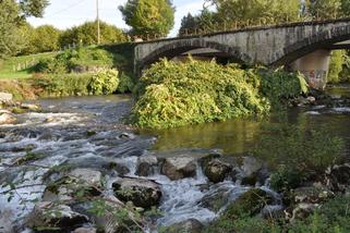 Adour à SOUES