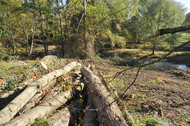 Travaux sur l'Adour