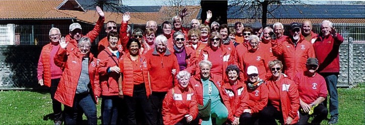 Gambettes